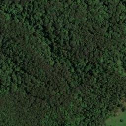 Satellite imagery of Tallebudgera Mountain, AU