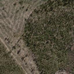 Satellite imagery of Mount Bodumba, AU