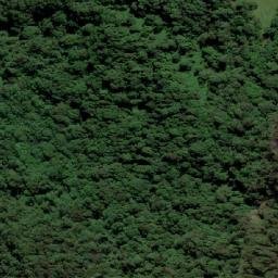 Satellite imagery of Tallebudgera Mountain, AU