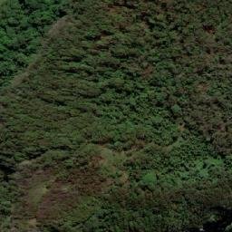 Satellite imagery of Tallebudgera Mountain, AU