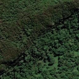 Satellite imagery of Tallebudgera Mountain, AU