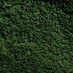 Satellite imagery of Mount Roberts, AU