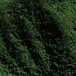 Satellite imagery of Mount Roberts, AU
