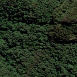 Satellite imagery of Tallebudgera Mountain, AU