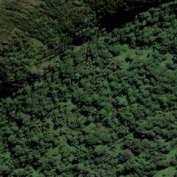 Satellite imagery of Tallebudgera Mountain, AU