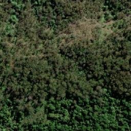 Satellite imagery of Bald Mountain, AU