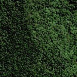 Satellite imagery of Mount Roberts, AU