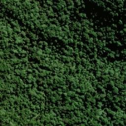 Satellite imagery of Mount Roberts, AU