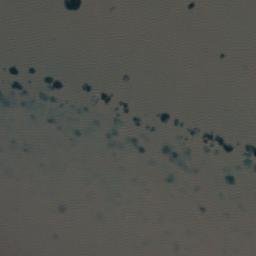 Satellite imagery of Makakatana Point, ZA