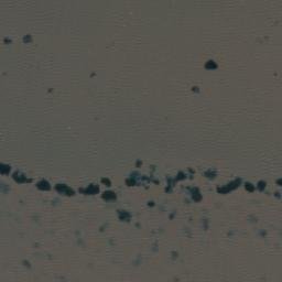 Satellite imagery of Makakatana Point, ZA