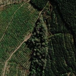 Satellite imagery of Halls Plain, AU