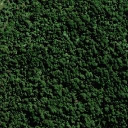 Satellite imagery of Bald Mountain, AU