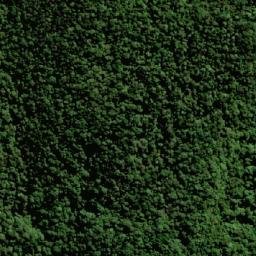 Satellite imagery of Mount Roberts, AU