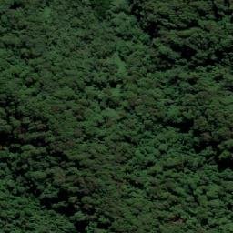 Satellite imagery of Mount Cougal (West Peak), AU