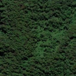 Satellite imagery of Mount Cougal, AU