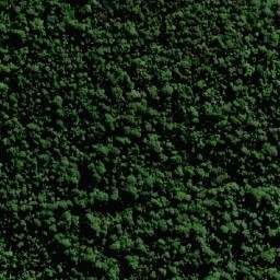 Satellite imagery of Bald Mountain, AU