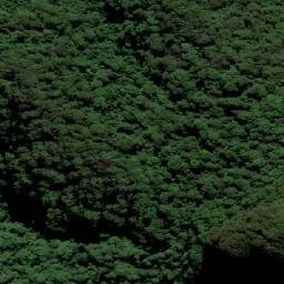 Satellite imagery of Mount Cougal (West Peak), AU