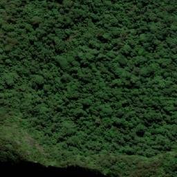Satellite imagery of Mount Cougal, AU