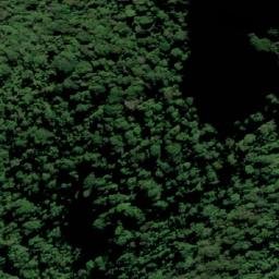 Satellite imagery of Mount Cougal (West Peak), AU