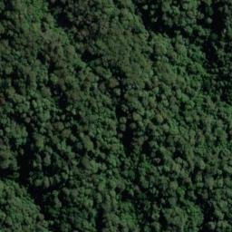 Satellite imagery of Mount Boyung Thuga, AU