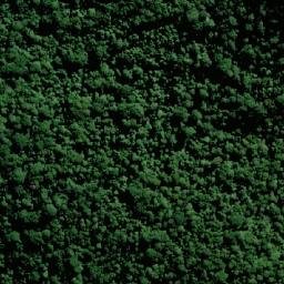 Satellite imagery of Wilsons Peak, AU