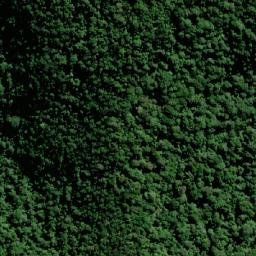 Satellite imagery of Wilsons Peak, AU