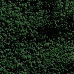 Satellite imagery of Wilsons Peak, AU