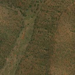 Satellite imagery of LEMON, NA