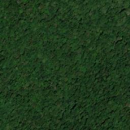 Satellite imagery of Pocal Peak, AU