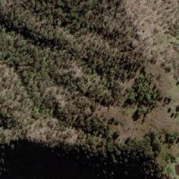 Satellite imagery of Little Widgee Mountain, AU