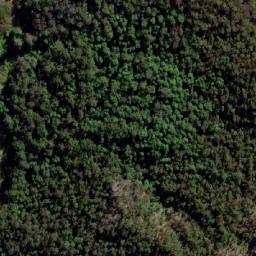 Satellite imagery of Mount Widgee, AU