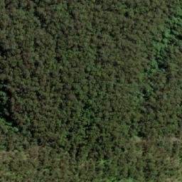 Satellite imagery of Mount Widgee, AU