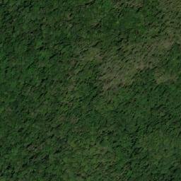Satellite imagery of Nothofagus Mountain, AU