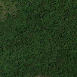 Satellite imagery of Nothofagus Mountain, AU