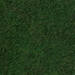 Satellite imagery of Nothofagus Mountain, AU