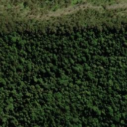 Satellite imagery of Mount Widgee, AU