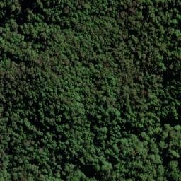 Satellite imagery of Mount Widgee, AU