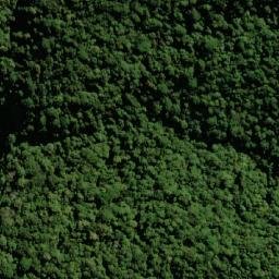 Satellite imagery of Mount Widgee, AU