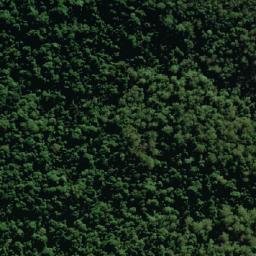 Satellite imagery of survey_point, AU