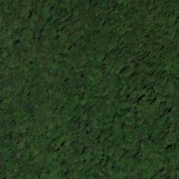 Satellite imagery of Nothofagus Mountain, AU