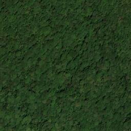 Satellite imagery of Nothofagus Mountain, AU