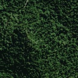 Satellite imagery of survey_point, AU