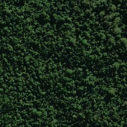Satellite imagery of survey_point, AU