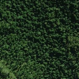 Satellite imagery of survey_point, AU