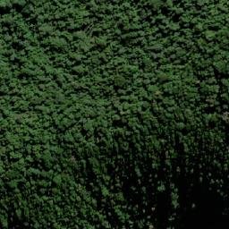Satellite imagery of Mount Chinghee, AU
