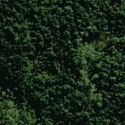 Satellite imagery of Stags Head, AU