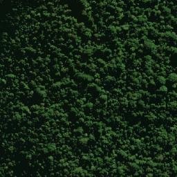 Satellite imagery of Mount Clunie, AU