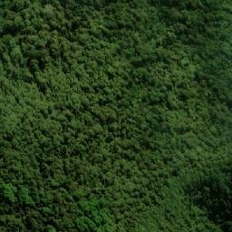 Satellite imagery of Mount Point Lookout, AU