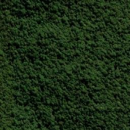 Satellite imagery of Cockscomb Point, AU