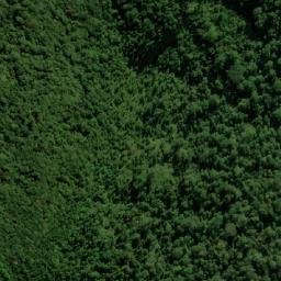 Satellite imagery of Cockscomb Point, AU